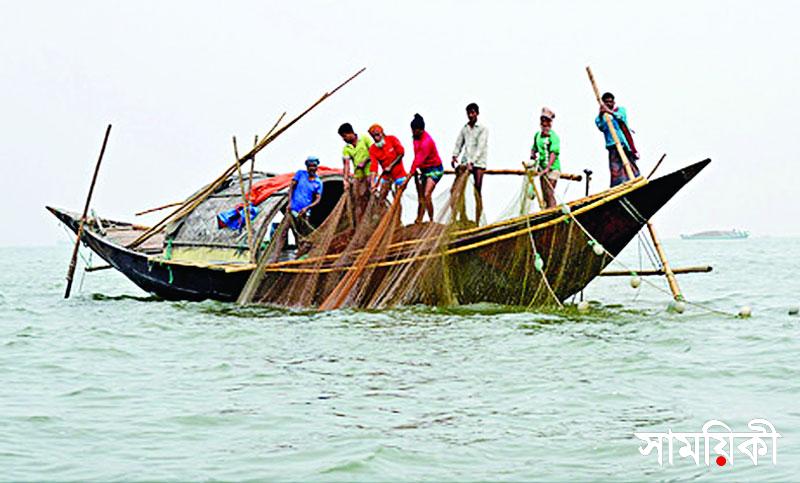 hilsa আজ জাল নিয়ে নদীতে নামছে বরিশাল বিভাগের ৩লক্ষাধিক জেলে