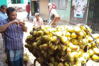 01 6 প্রচন্ড তাপদাহে একটু স্বস্তি পেতে বিক্রি বেড়েছে পানি তাল শাঁসের