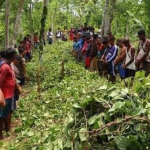 2 2 বড়লেখায় খাসিয়াদের পানজুম দখলের অপচেষ্টা ও চাঁদা দাবী