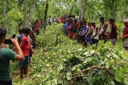 2 2 পানের জুম দখল, প্রাননাশের হুমকিসহ ১০ লক্ষ টাকা চাঁদাদাবী সন্ত্রাসীদের