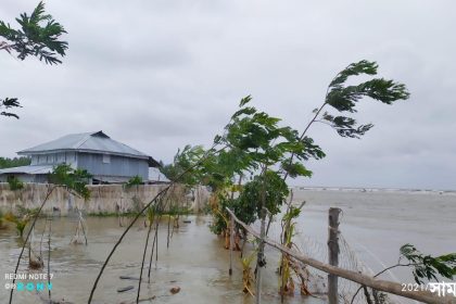 IMG 20210525 WA0053 বরিশাল-ভোলায় গাছ চাপায় ও পানিতে ডুবে ৩জনের মৃত্যু