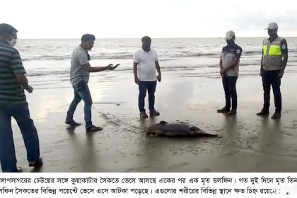 kalapara pic1 dolphin recovery 10 05 2021 সাগরের ঢেউয়ে ভেসে আসছে একাধিক মৃত ডলফিন