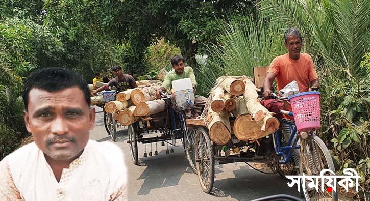 nn 2 নাটোরে সামাজিক বনায়নের দেড় শতাধিক গাছ কাটলেন আ.লীগ নেতা