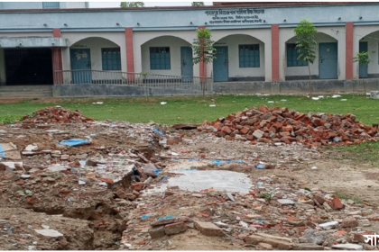 no নওগাঁয় জিতেন্দ্র নাথ বালিকা উচ্চ বিদ্যালয়ে পুরাতন ভবনের মালামাল ও গাছ বিক্রির মহোৎসব