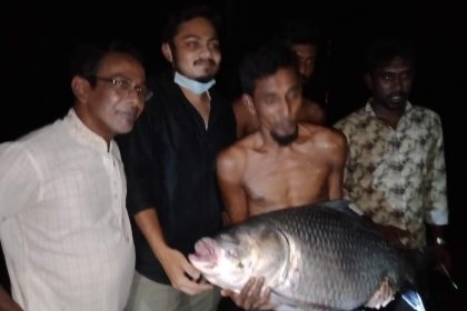 Barishal Photo About 33Kg Katla fish caught in historical Durgasagor Dighi of Barishal 1 1 বরিশালের দুর্গাসাগর দীঘিতে ৩৩কেজি ওজনের কাতল মাছ!