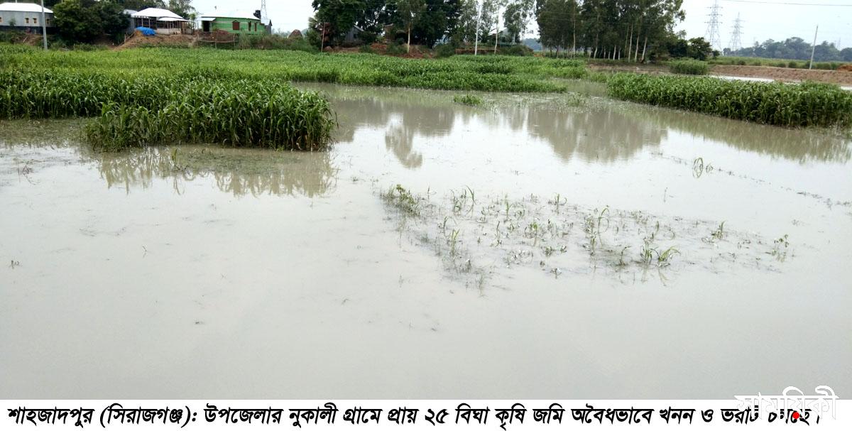 Shahzadpur News 01...05 06 21 01 শাহজাদপুরে অবৈধভাবে ২৫ বিঘা কৃষি জমি খনন ও ভরাট বন্ধের দাবী কৃষকদের
