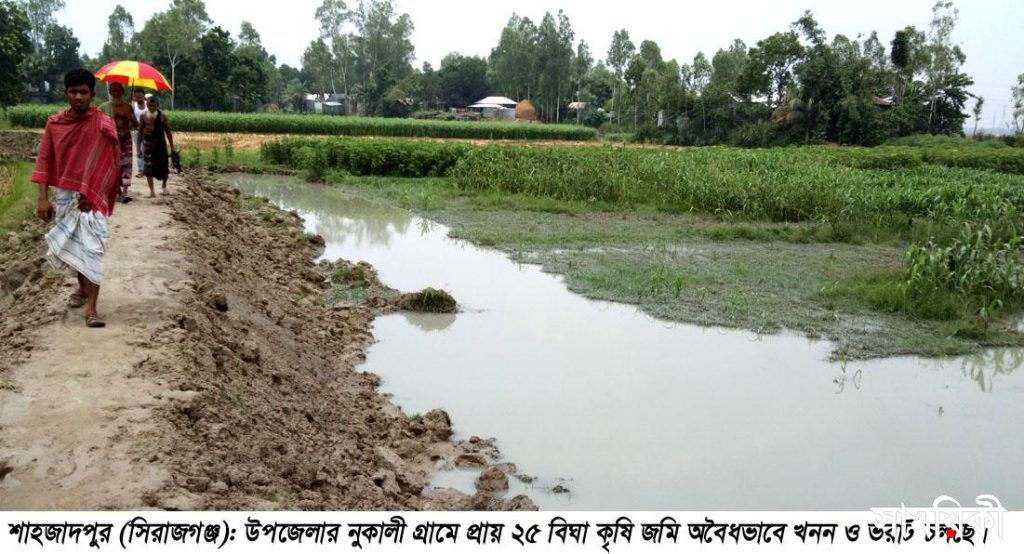 Shahzadpur News 01...05 06 21 02 শাহজাদপুরে অবৈধভাবে ২৫ বিঘা কৃষি জমি খনন ও ভরাট বন্ধের দাবী কৃষকদের