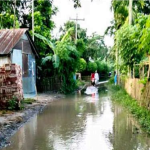 kada পুকুর নয়, এটাই সড়ক!