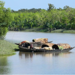 ss আগামী দুই মাস সুন্দরবনে মাছ ধরা নিষিদ্ধ