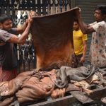 Barishal Photo Workers busy in primary processing of collected hide and skin in a dull market at Barishal due to pandemic and shortage of capital 2 বরিশালে বেশীরভাগ চামড়া আসছে মাদ্রাসা থেকে, সংগ্রহে তোড়জোড় নেই ব্যবসায়ীদের