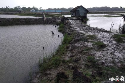 সরকারী খালে বাঁধ সরকারী খালে বাঁধ দিয়ে মাছ চাষ, জলাবদ্ধতায় কয়েক হাজার একর জমি অনাবাদী