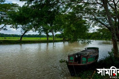 ধানসিঁড়ি নদী জীবনানন্দ দাশের ধানসিঁড়ি নদী