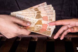 pakistan rupi পাকিস্তানি রুপির রেকর্ড পতন, ২৫৫ রুপিতে মিলছে ১ ডলার