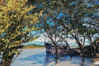 brown boat on lake near green trees during daytime