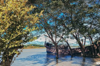 brown boat on lake near green trees during daytime