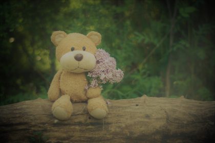 teddy একটি রাত এবং কলতান-অনন্যা