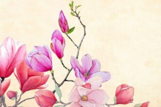 flower, magnolia, watercolor